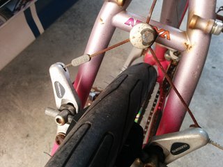IMG_20160417_154800.jpg