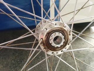 IMG_20160530_145437.jpg