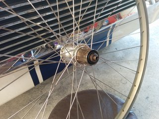 IMG_20160603_154807.jpg