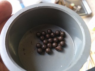 IMG_20160603_162053.jpg
